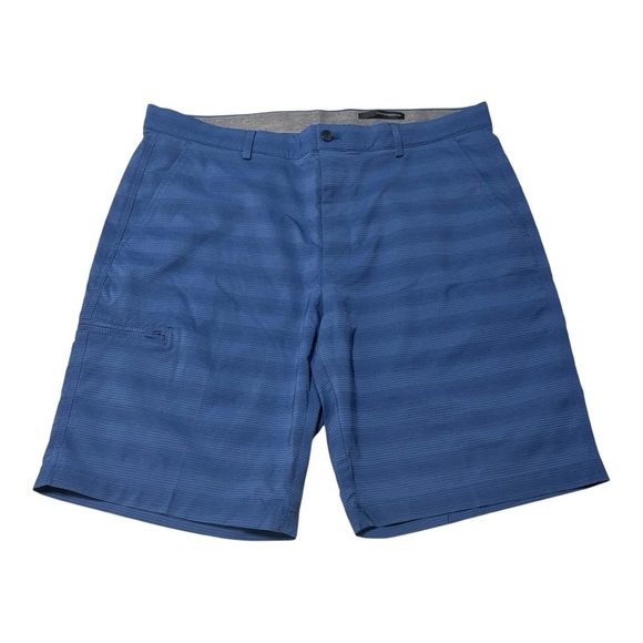 Blue Striped Shorts - Picture 1 of 3